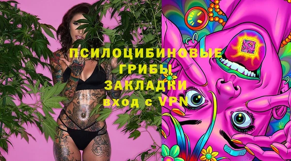 МДПВ Алзамай