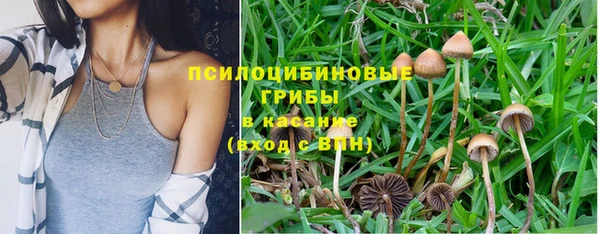 дурь Алексин