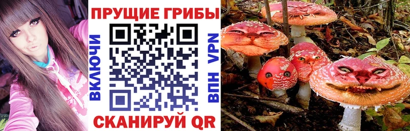 Псилоцибиновые грибы GOLDEN TEACHER  Рыбинск 