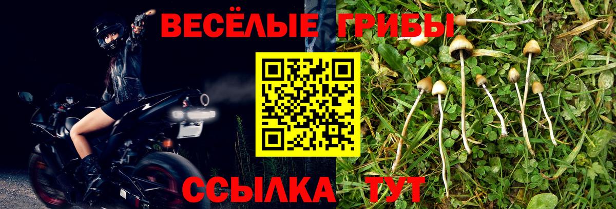 Псилоцибиновые грибы ЛСД  Галлюциногенные грибы Psilocybine cubensis  Вход с VPN  Рыбинск 